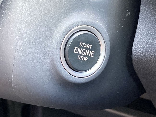 20198697.jpg