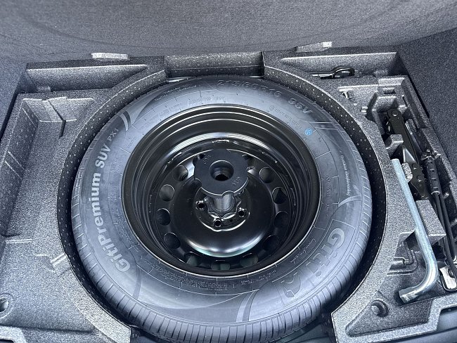 20198681.jpg