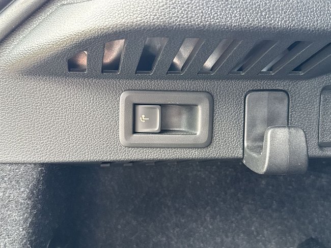 20198667.jpg