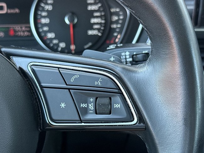 20198680.jpg