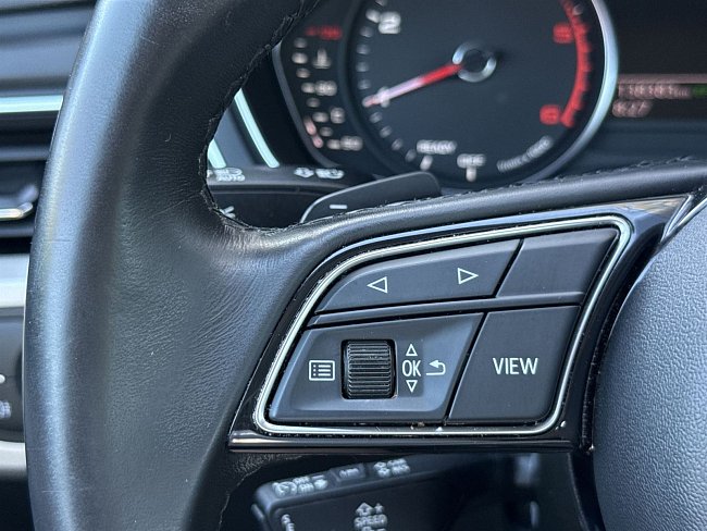 20198681.jpg