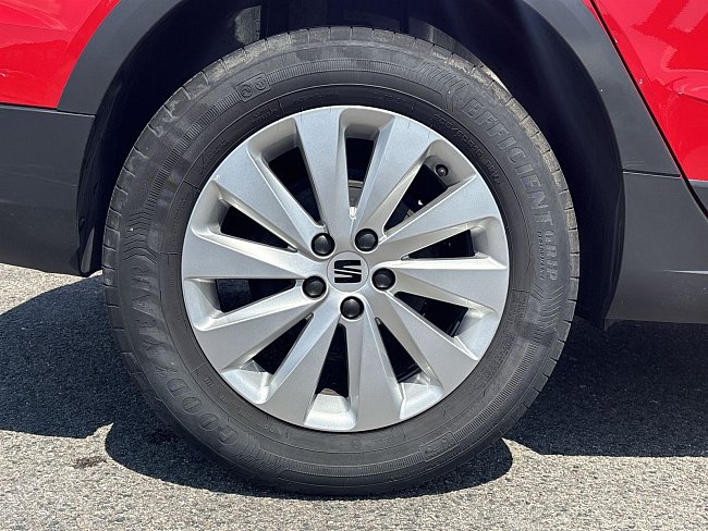 20198677.jpg