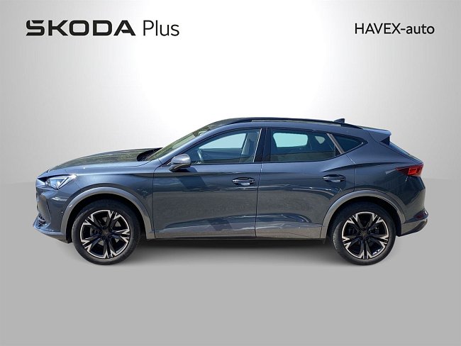 20198664.jpg