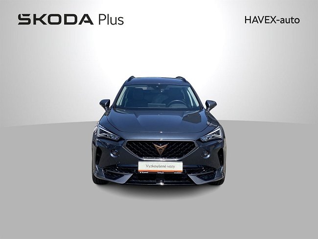20198670.jpg