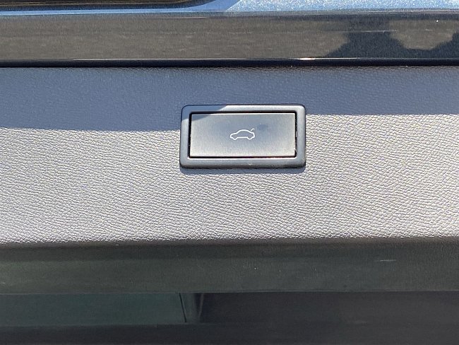 20198683.jpg