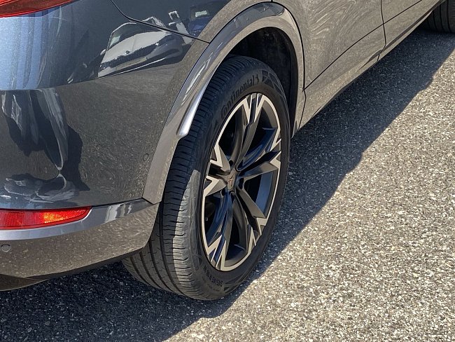20198692.jpg