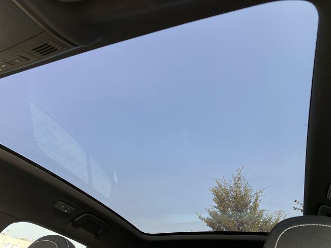 20198663.jpg