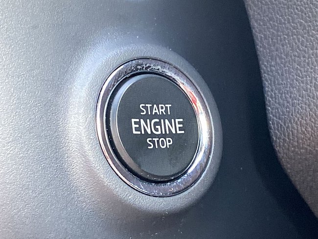 20198681.jpg