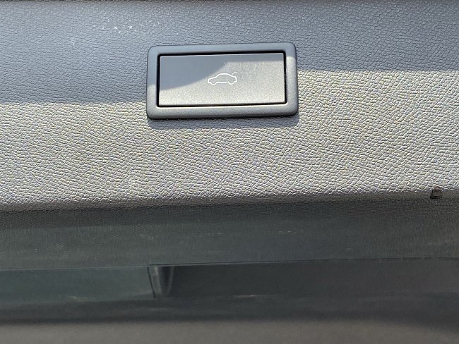 20198670.jpg