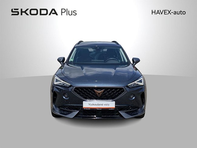 20198680.jpg