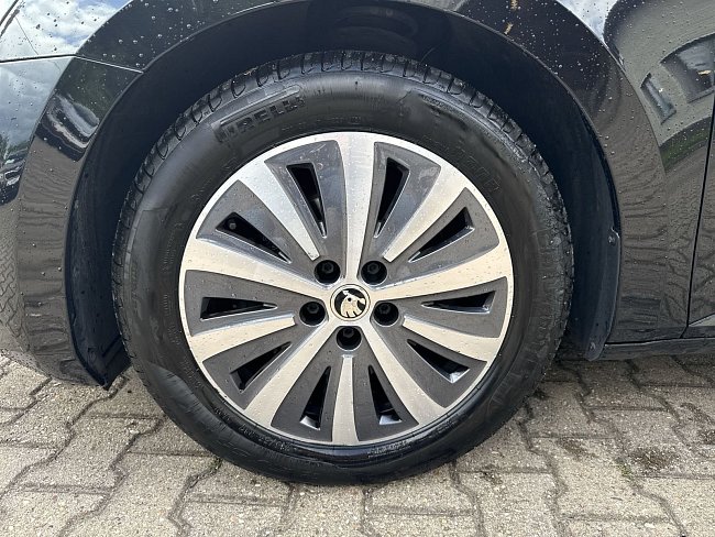 20198677.jpg