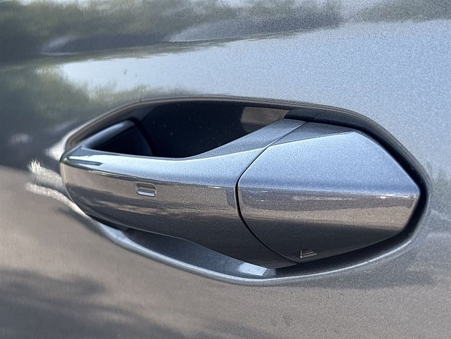 20198671.jpg