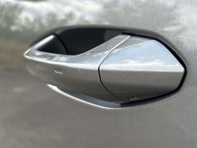 20198659.jpg