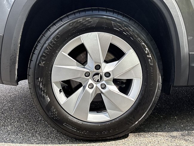 20198660.jpg