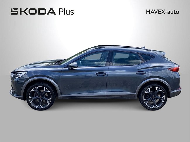 20198753.jpg