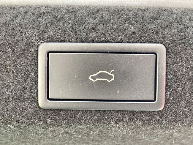 20198724.jpg