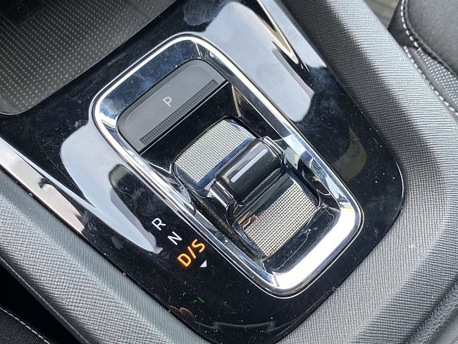 20198773.jpg