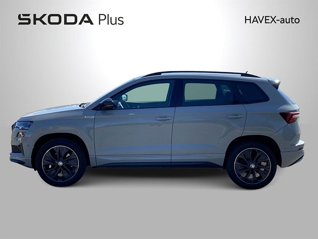 20198763.jpg