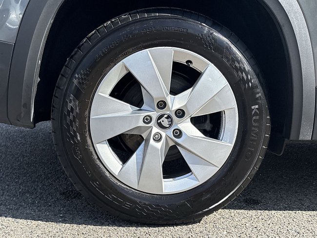20198772.jpg