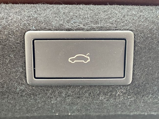 20198733.jpg