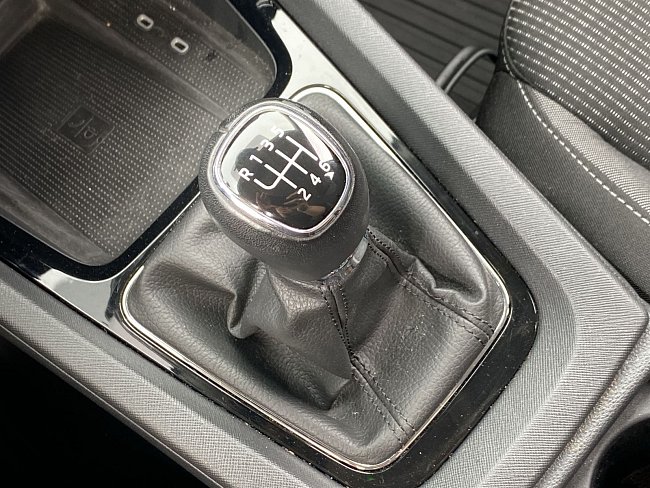 20198759.jpg