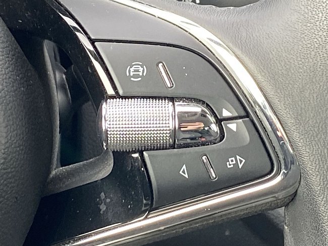 20198765.jpg