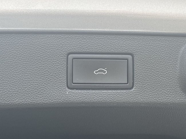 20198763.jpg