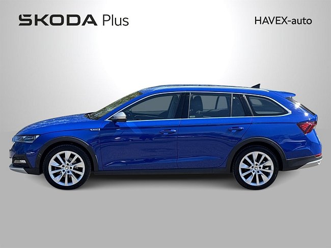 20198770.jpg