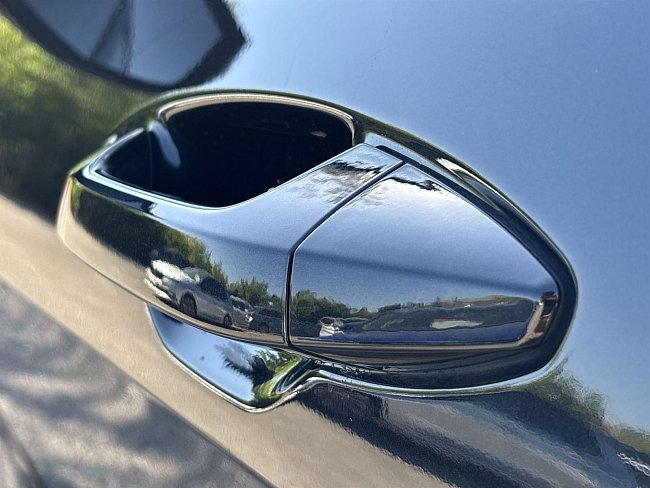 20198757.jpg