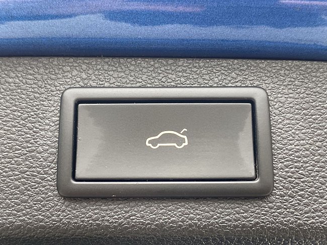 20198660.jpg