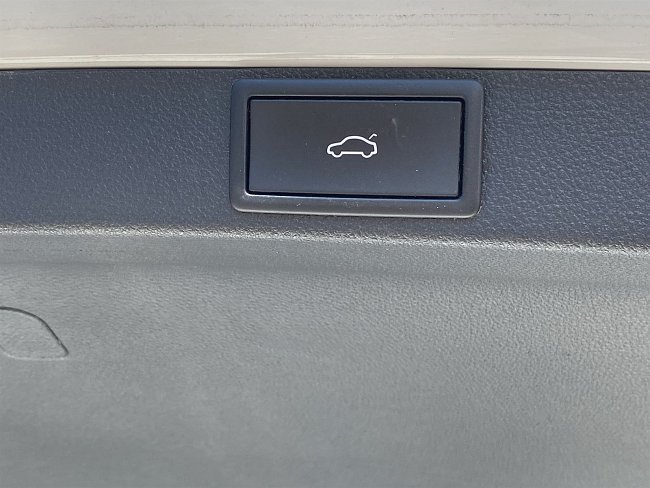 20198738.jpg