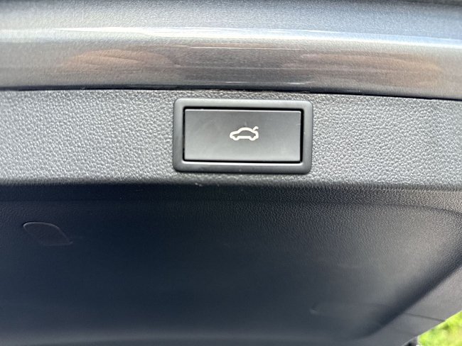 20198739.jpg