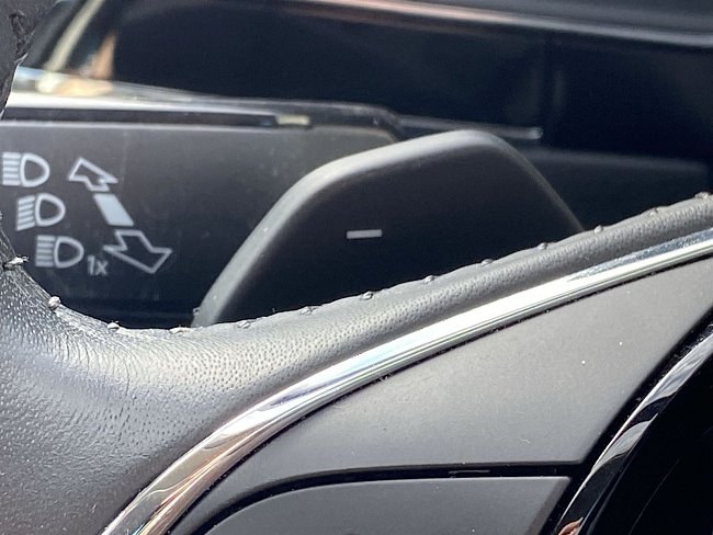 20198737.jpg