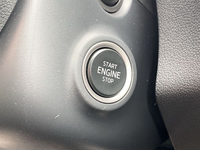 20198736.jpg
