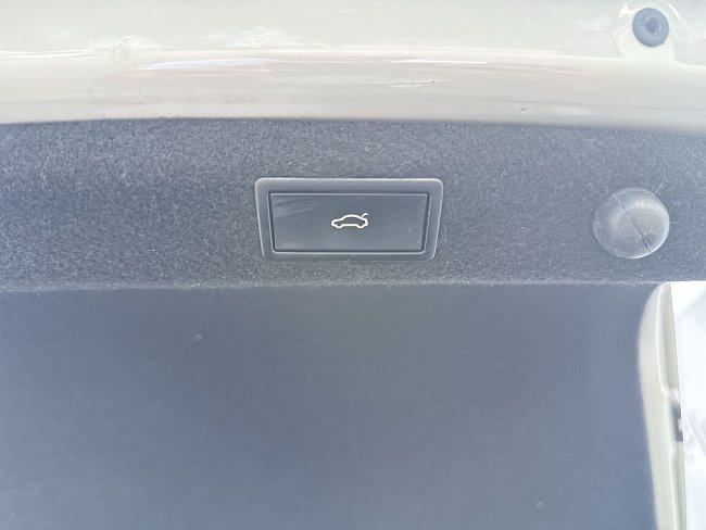 20198730.jpg