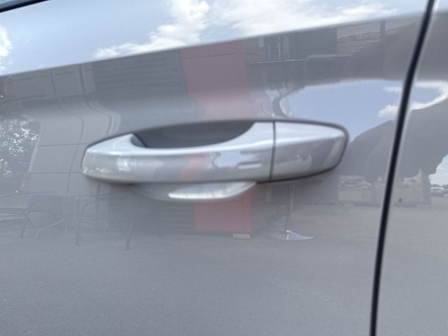 20198733.jpg