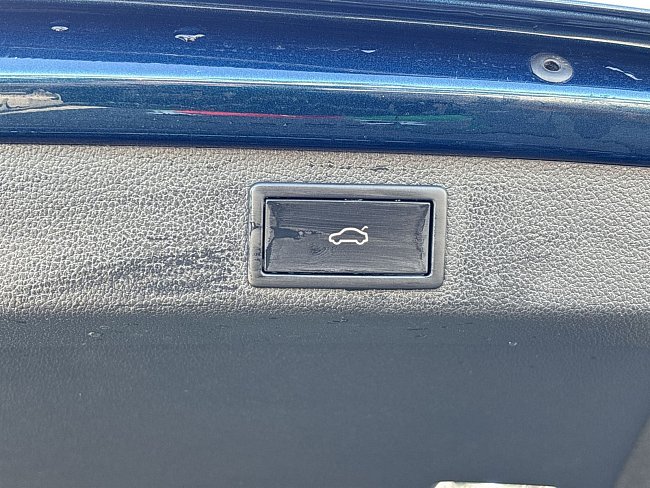 20198733.jpg