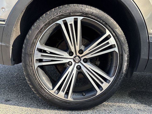 20198780.jpg