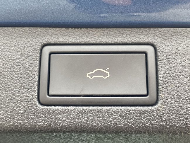 20198782.jpg