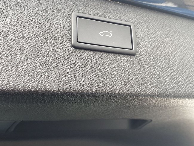 20199089.jpg