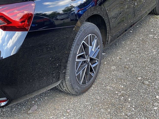 20199081.jpg
