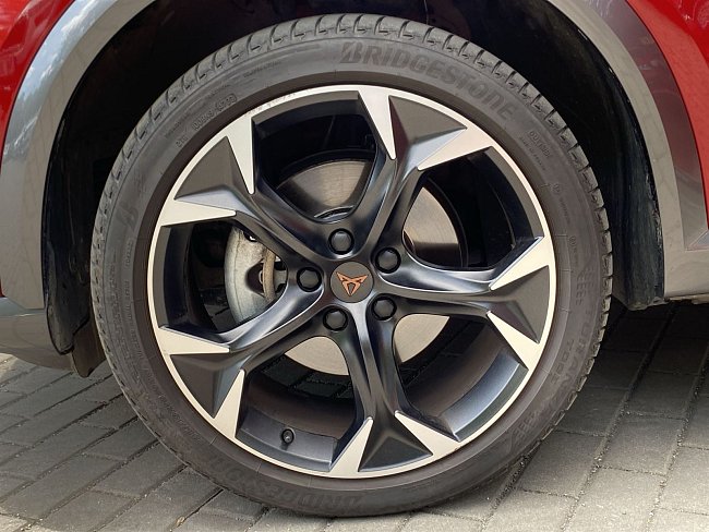 20199043.jpg
