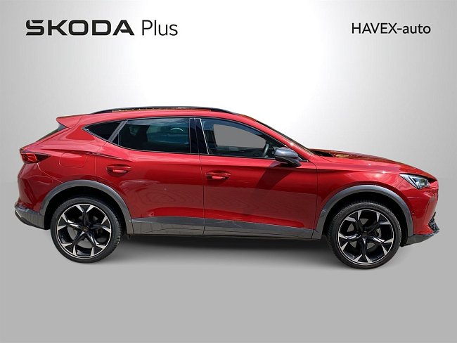 20199076.jpg