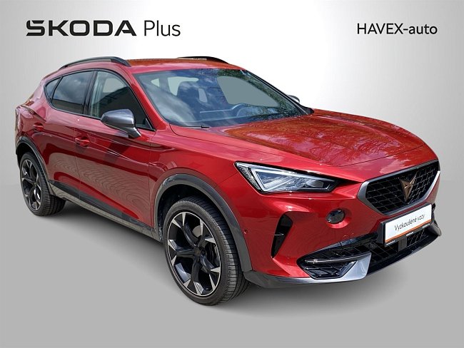 20199079.jpg