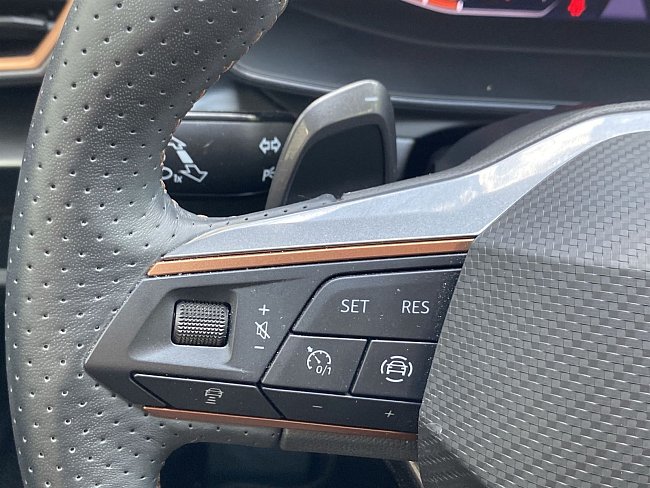 20199099.jpg