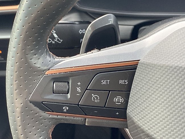 20199097.jpg
