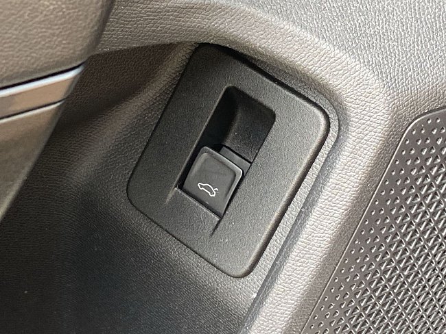 20199099.jpg
