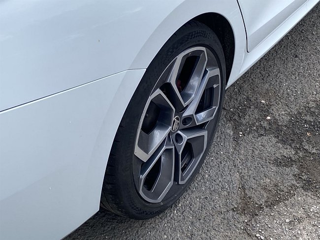 20199095.jpg