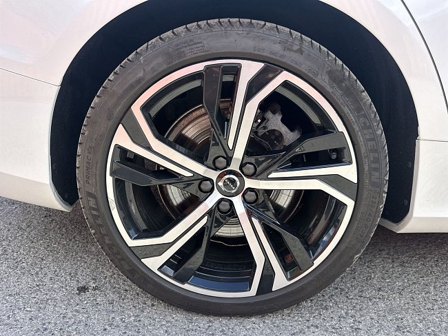 20199097.jpg
