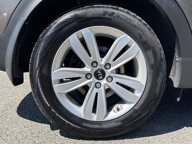 20199088.jpg